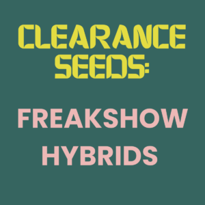 Clearance Seeds: Freakshow Hybrids - OG Kush TKM10 x KG Sour Diesel x Freakshow