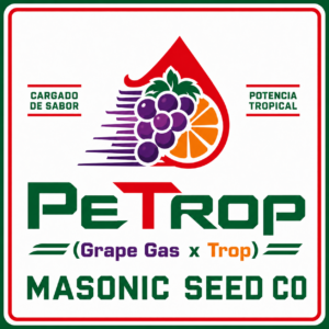 "PeTrop" (Grape Gas x Trop)