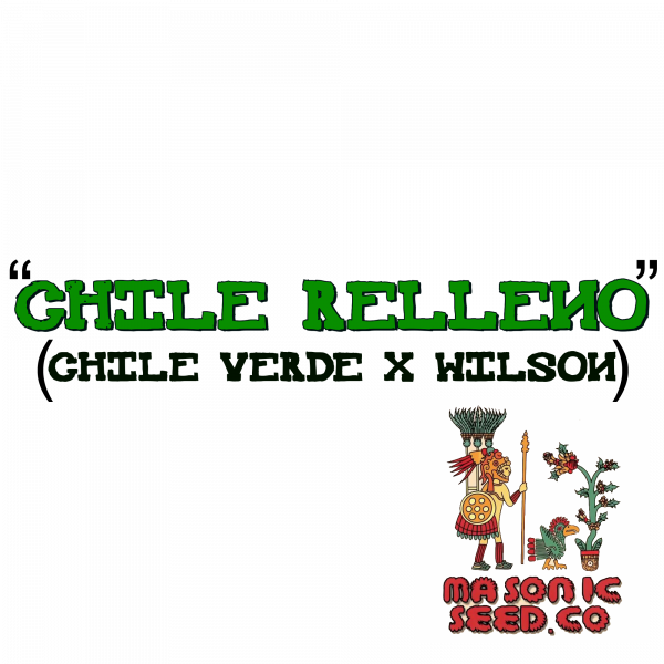 "Chile Relleno" (Chile Verde X Wilson!)