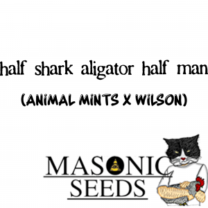Half-shark-alligator-half-man (Animal Mints X Wilson)