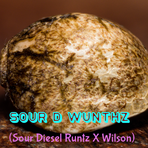"Sour D Wunthz" (Wednesday Ray X Wilson)