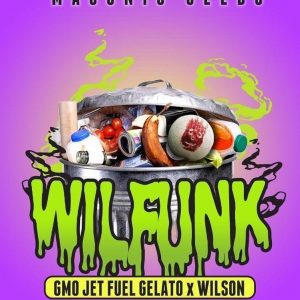 *New Seeds* "WilFunk" (Gmo Jet Fuel Gelato X Wilson F2)