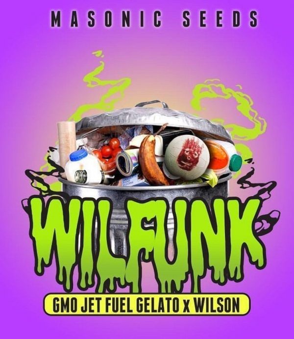 *New Seeds* "WilFunk" (Gmo Jet Fuel Gelato X Wilson F2)