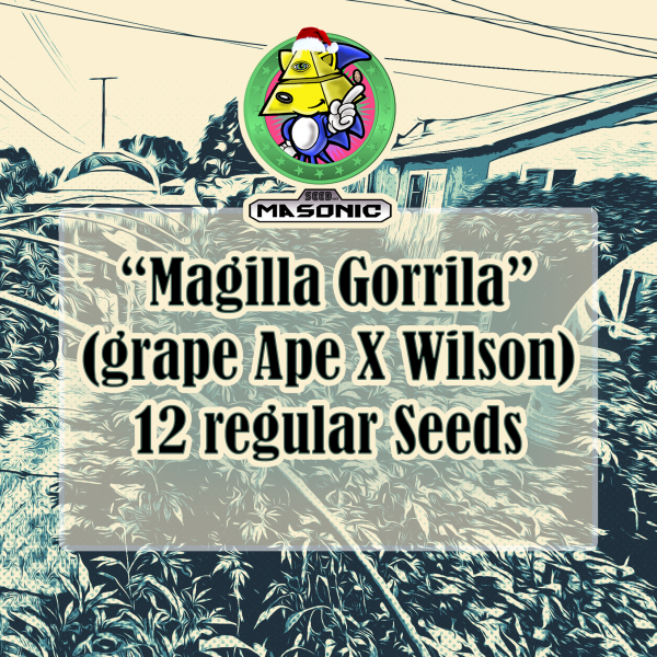 "Magilla Gorilla" (Grape Ape X Wilson)