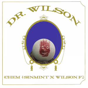"Dr Wilson" (Chem 4 SinMint X Wilson F2)