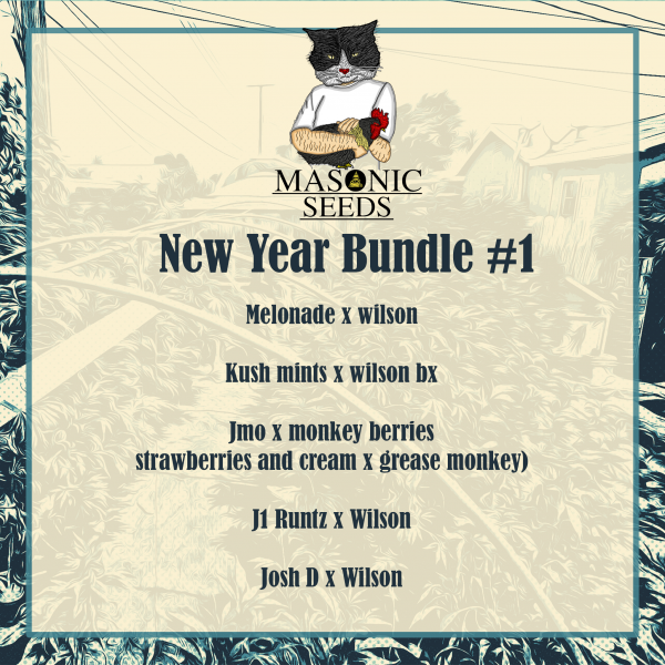 New Year Bundle #1