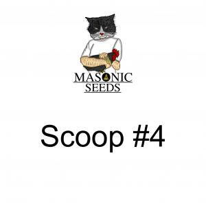 Scoop #4
