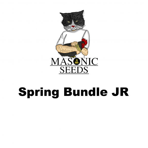 Spring Bundle Jr/KNF