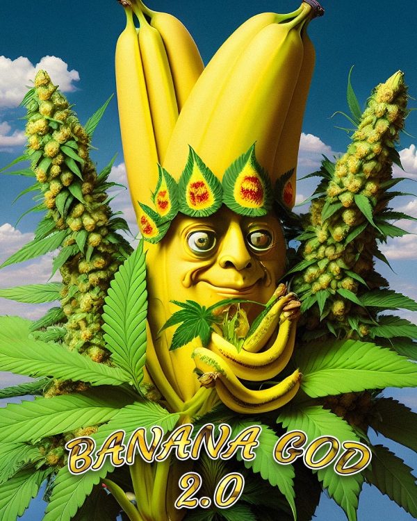 Banana God 2.0 (Banana OG x Wilson F3) fems
