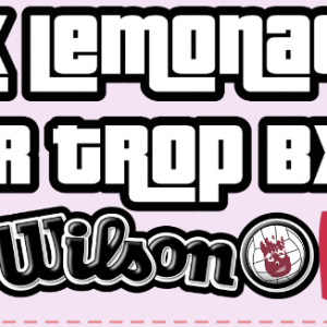 Pink Lemonade Sour Trop x Wilson