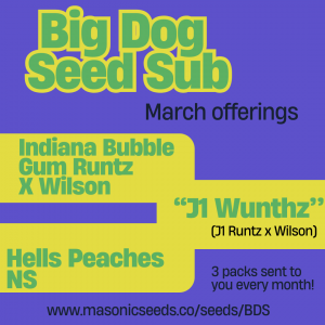 BIG DOG SEED SUBSCRIPTION SERVICE