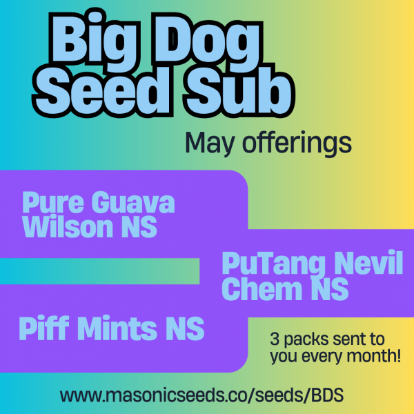 BIG DOG SEED SUBSCRIPTION SERVICE
