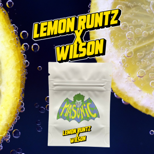 Lemon Runtz x Wilson!