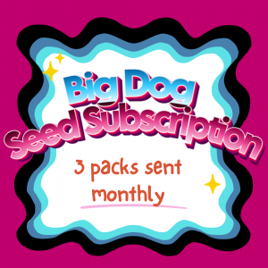 BIG DOG SEED SUBSCRIPTION SERVICE