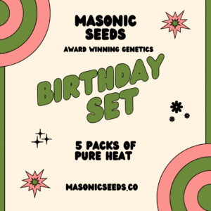 Birthday set