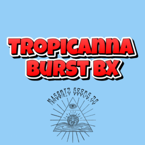 Tropicanna Burst BX
