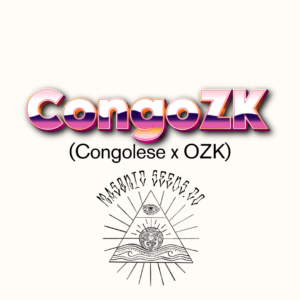 CongoZK