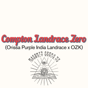Compton Landrace Zero