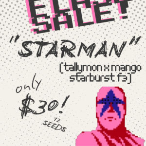 FLASH SALE: 🌟  Starman