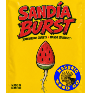 "Sandia Burst" Watermelon Granita x Mango Starburst
