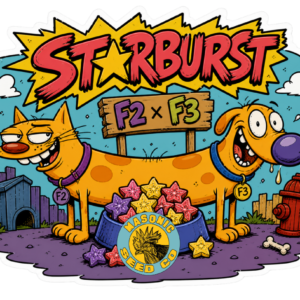 Starburst f2 x Starburst f3