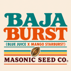 Baja Burst (Blue Juice x Mango Starburst)
