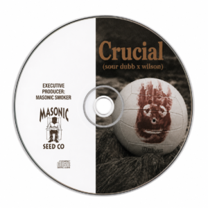 Crucial (Sour Dubb x Wilson!)