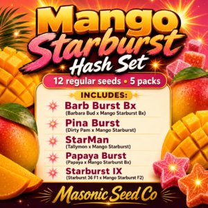 Mango Starburst Hash Set