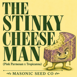 "The Stinky Cheese Man" (Pink Parmesan x Tropicanna)