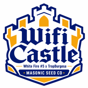 WiFi Castle (White Fire 5 x TropBurgesa)