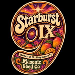 Starburst IX
