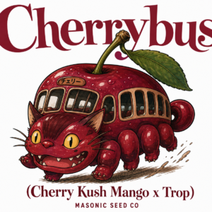 CherryBus (Cherry Kush Mango Starburst x Tropicanna)