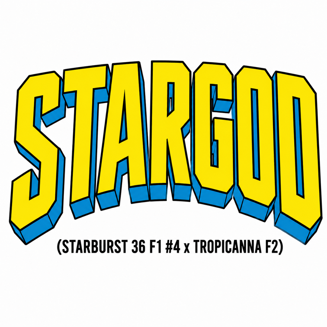 Stargod (Starburst F1 #4 x Tropicanna F2)