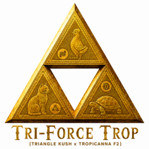 "Tri Force Trop" (Triangle Kush x Trop)